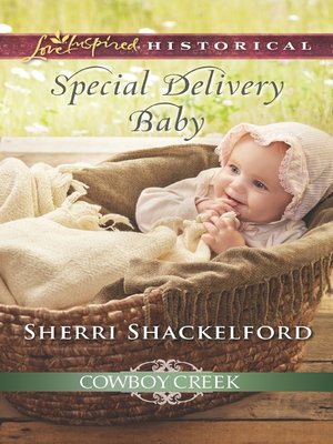 cover image of Special Delivery Baby